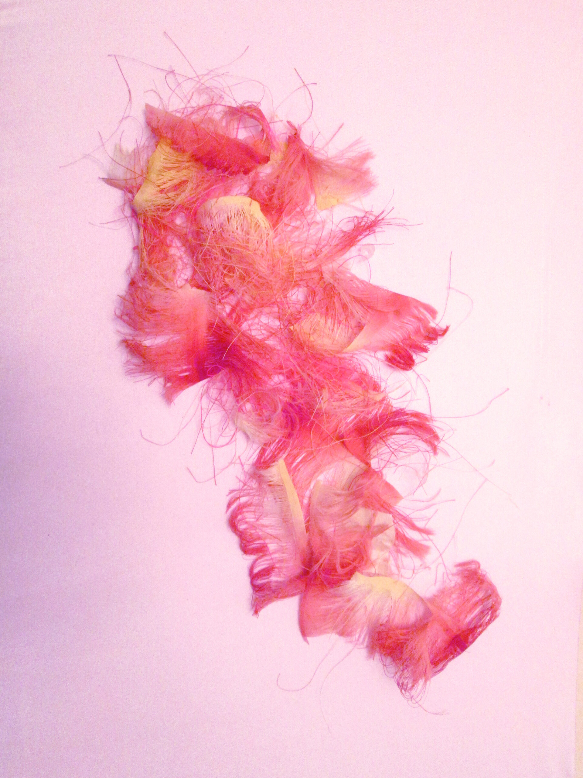 Read more about the article Study for a Feather Boa (From the Frayed Petals of an Artificial Rose)